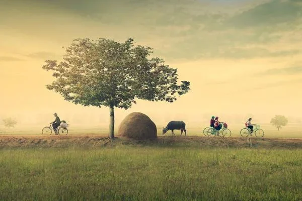 XÚC ĐỘNG: Ngắm loạt ảnh đồng quê Việt Nam bình dị này, ai cũng sẽ thấy quê hương mình ở trong đó... - Tre Nguồn Resort