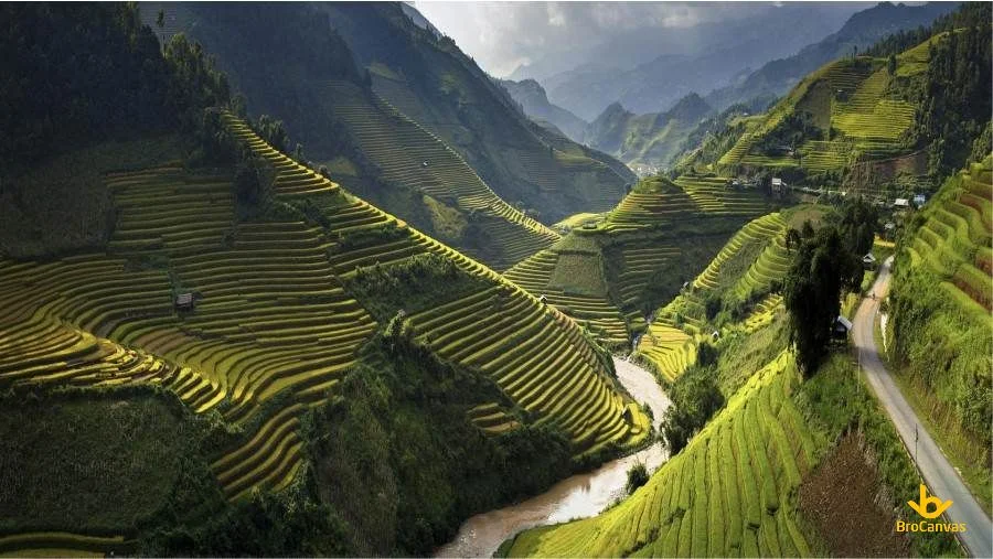Hình ảnh Ruộng Bậc Thang Bên Sườn Núi