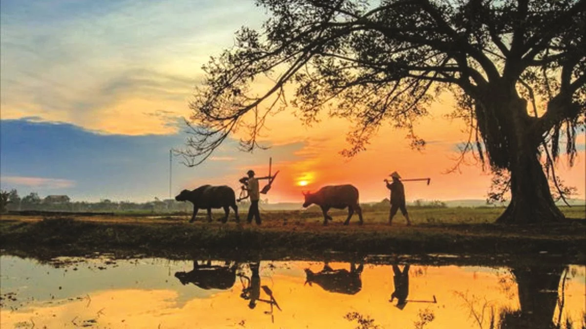Bức họa đồng quê
