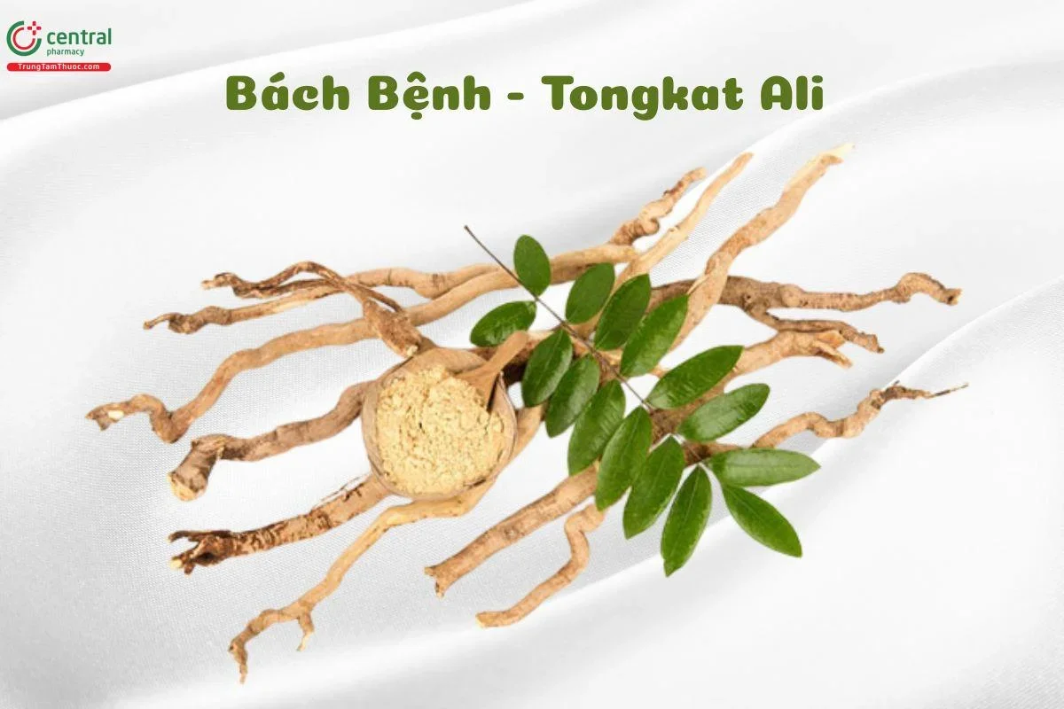 Hình 56 trong bộ thuốc tăng kích thước cậu nhỏ của mỹ