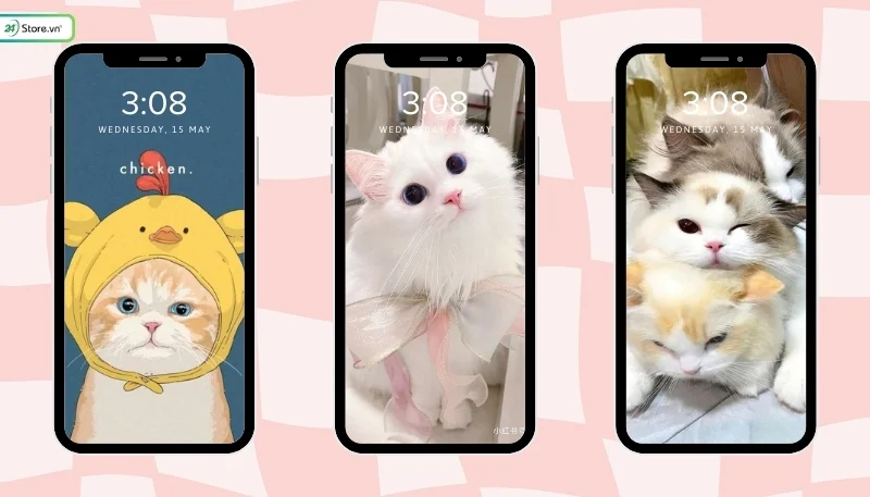 hình nền mèo cute