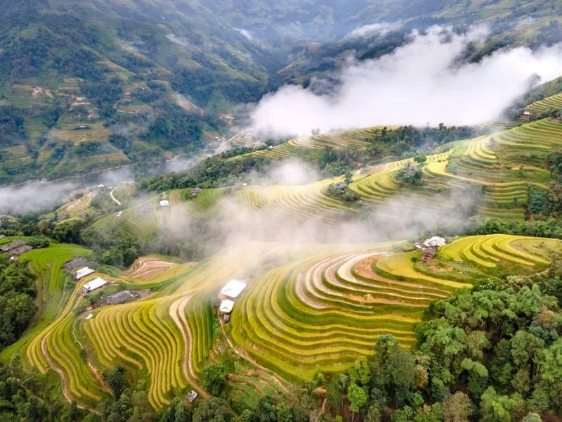 Phong cảnh đẹp ở Việt Nam và hành trình xuôi dòng thưởng ngoạn (2)
