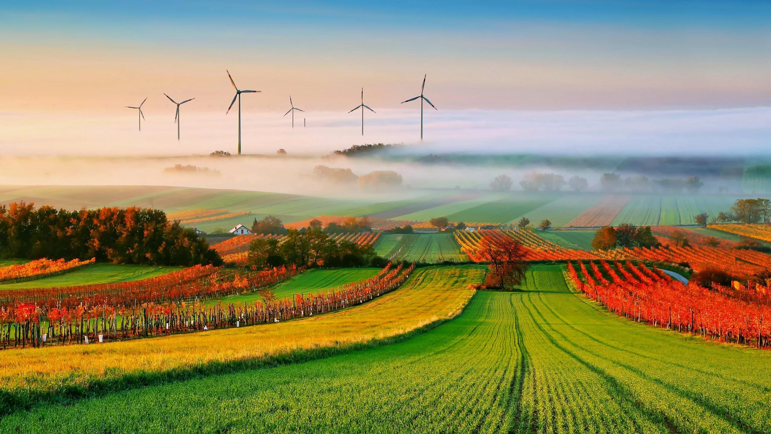 Phong cảnh đồng ruộng nhiều màu sắc với những turbine gió giữa thiên nhiên