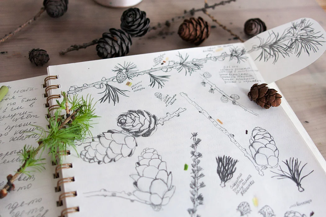 Ý tưởng vẽ tranh đẹp mắt: sketches and paintings. | DesignerVN (2)