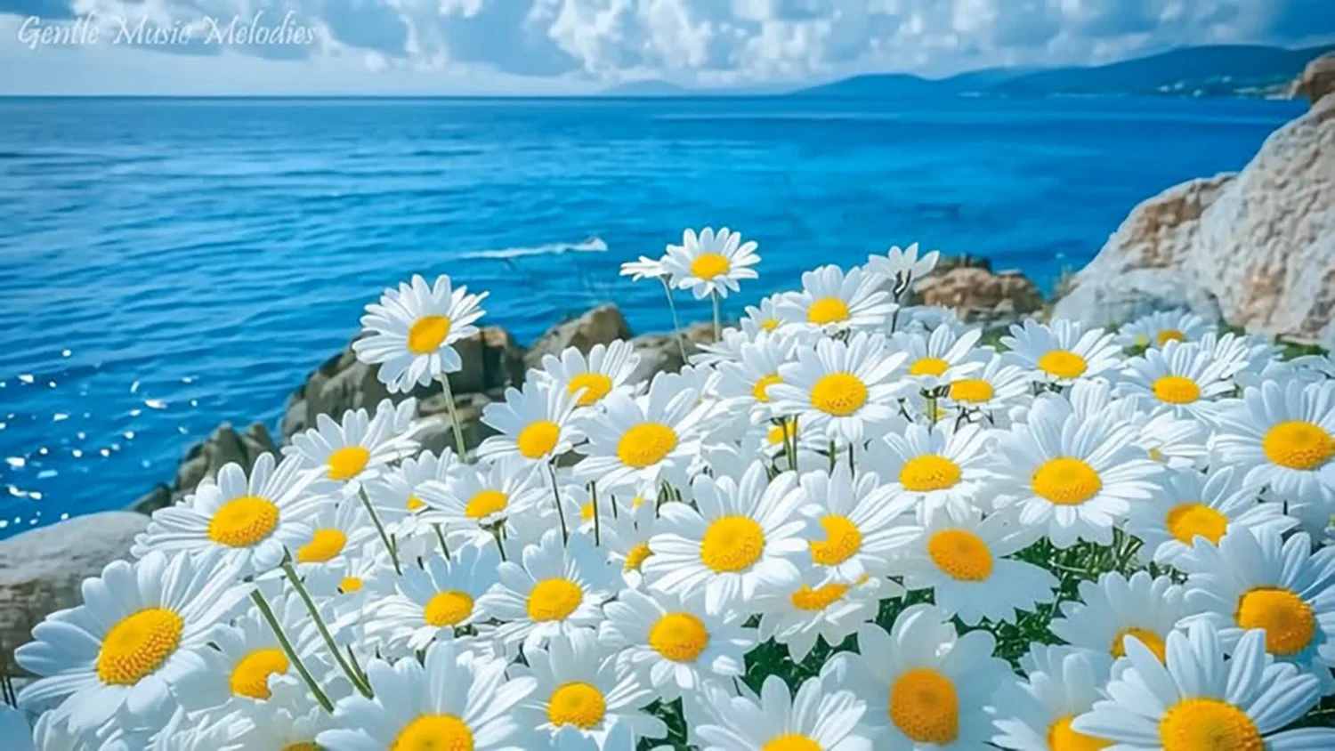 Hoa bên bờ biển thơ mộng
