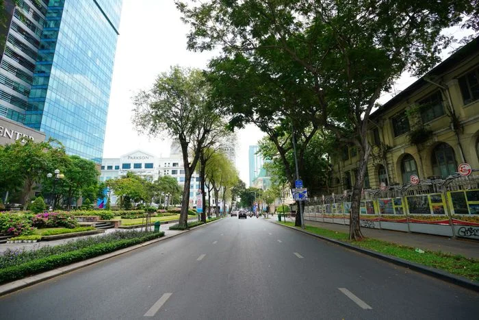 Đường phố thành phố rợp bóng cây xanh mát lành