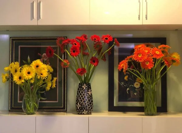hình ảnh ba bình hoa đồng tiền màu vàng đỏ cam trang trí trong nhà bếp