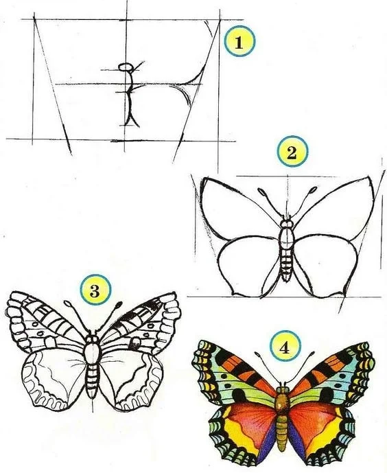 cách vẽ hình con bướm 3d