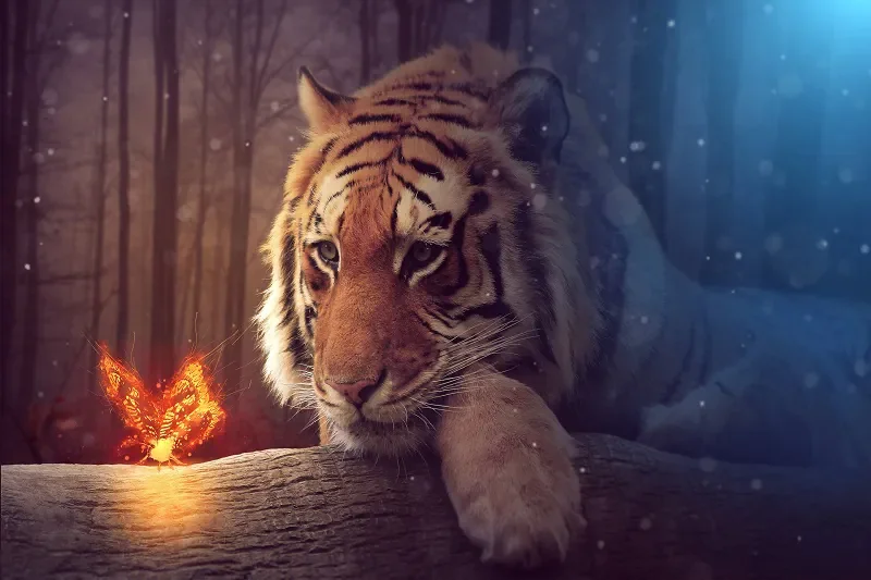 Hổ (Panthera tigris): Chúa tể Rừng xanh & Biểu tượng của Sức - hình ảnh hổ 4K: Bộ sưu tập ảnh độ phân giải cao - hình 21