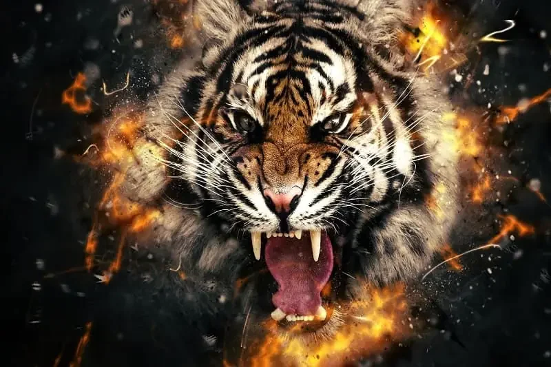 Hổ (Panthera tigris): Chúa tể Rừng xanh & Biểu tượng của Sức - hình ảnh hổ 4K: Bộ sưu tập ảnh độ phân giải cao - hình 8