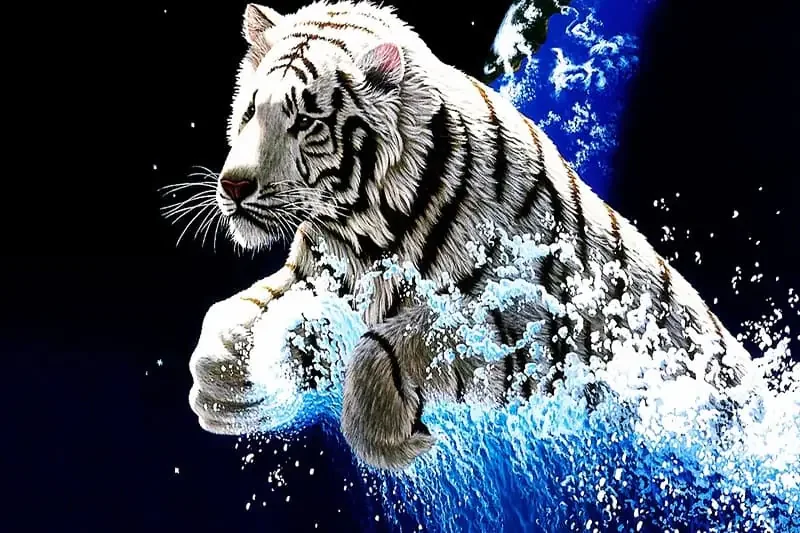 Hổ (Panthera tigris): Chúa tể Rừng xanh & Biểu tượng của Sức - hình ảnh hổ 4K: Bộ sưu tập ảnh độ phân giải cao - hình 9