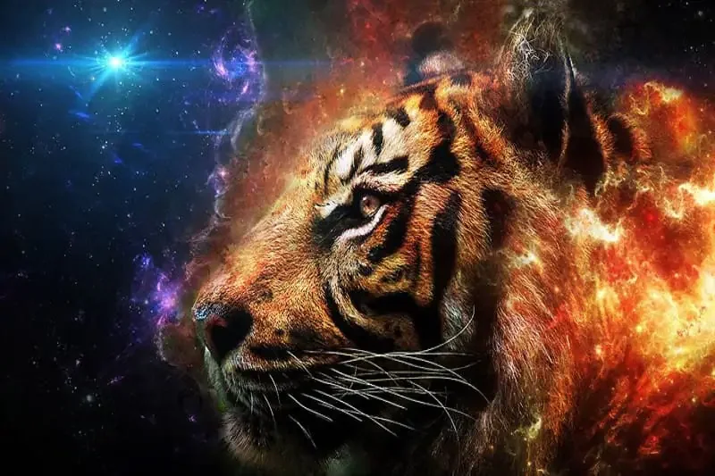 Hổ (Panthera tigris): Chúa tể Rừng xanh & Biểu tượng của Sức - hình ảnh hổ 4K: Bộ sưu tập ảnh độ phân giải cao - hình 7