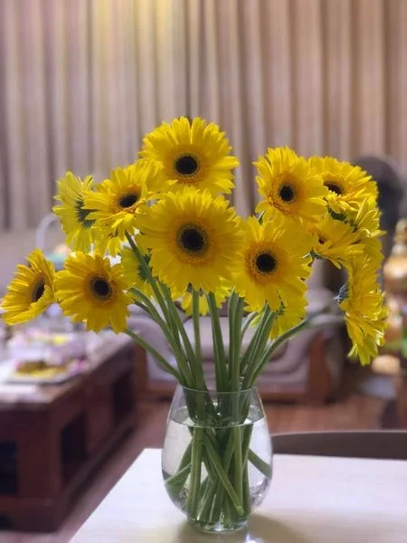 Bình hoa đồng tiền màu vàng tươi trong phòng khách