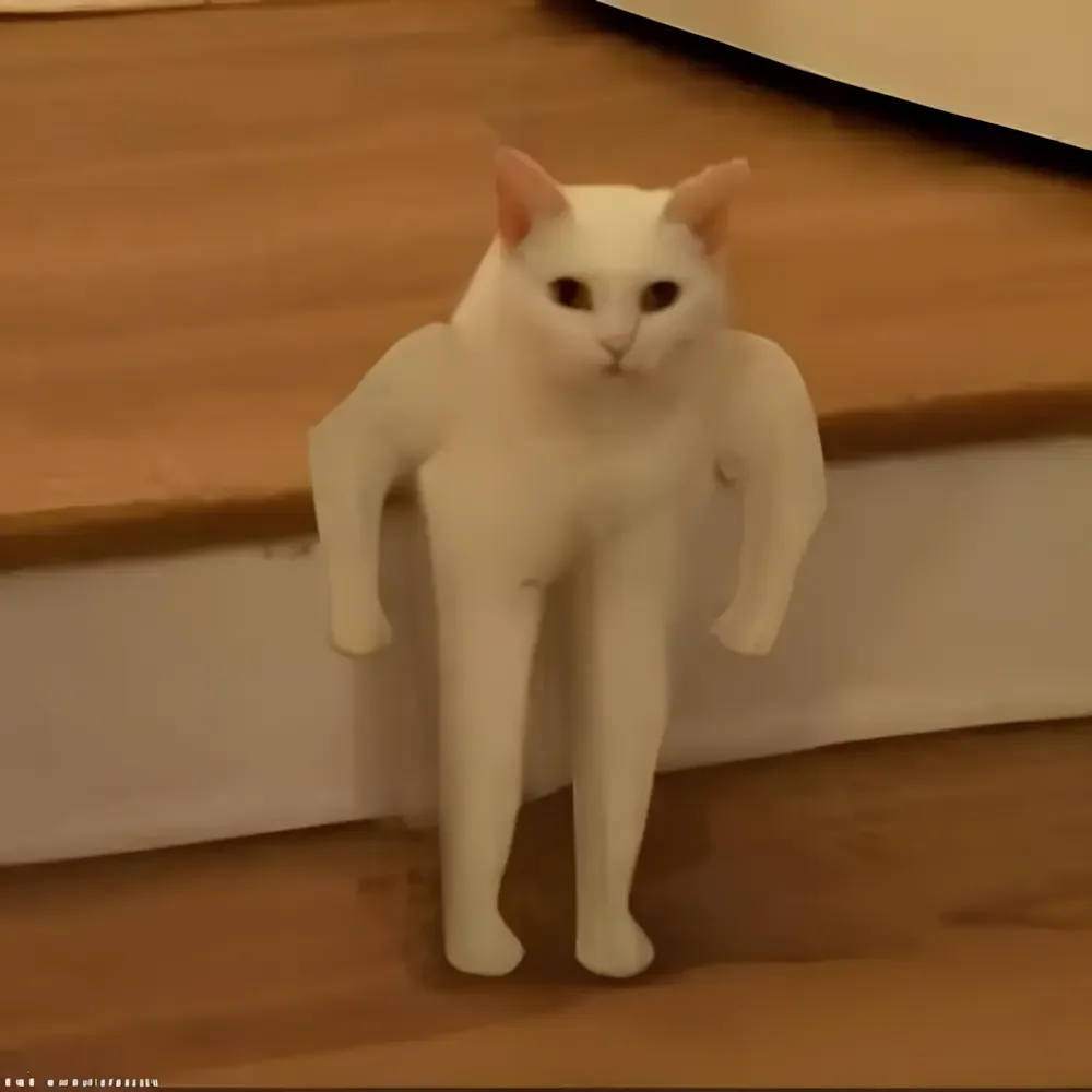 Ảnh mèo meme với cơ bắp cuồn cuộn cực hài hước