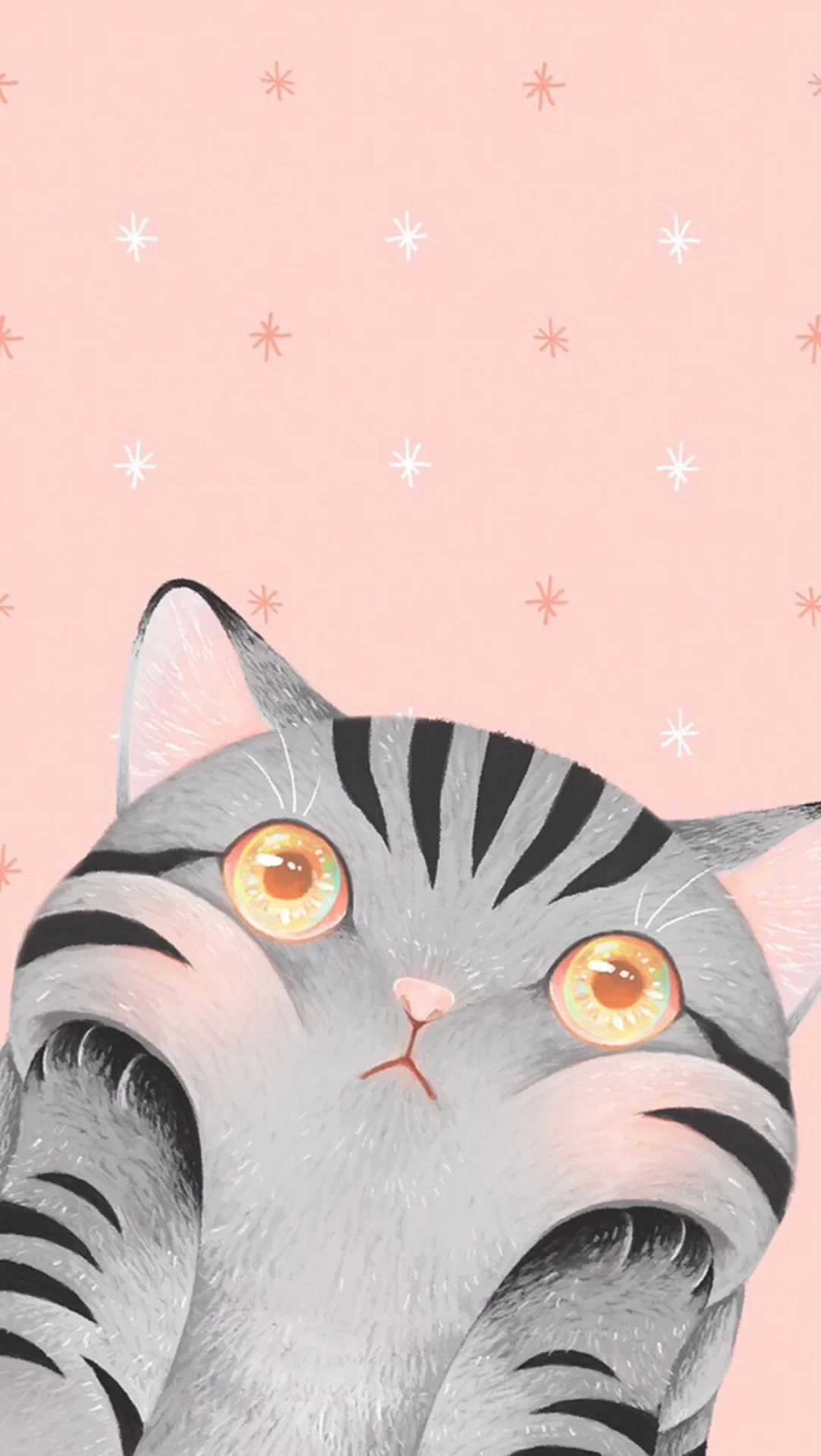 Hình nền cute mèo xám mắt to tròn