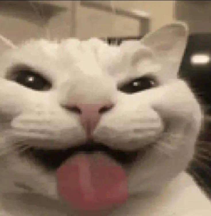 Mèo mặt hài hước lè lưỡi meme