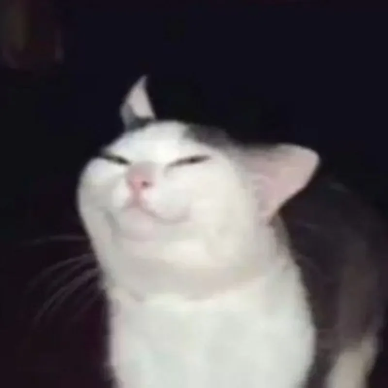 Loạt Meme Mèo Cười Đểu nhếch mép nham hiểm khiến group chat của bạn cháy khét