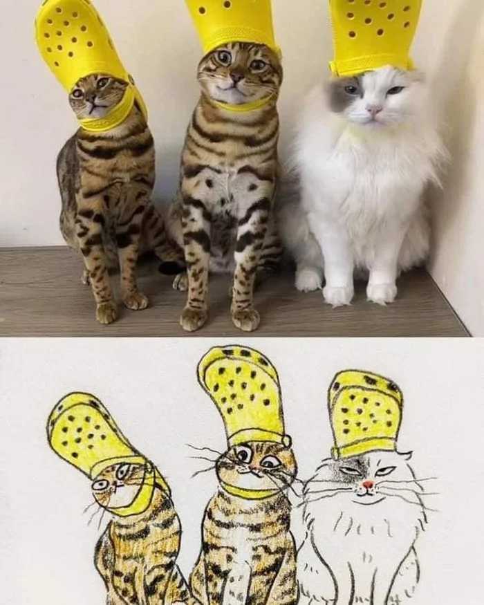 Bộ 3 siêu đáng yêu.