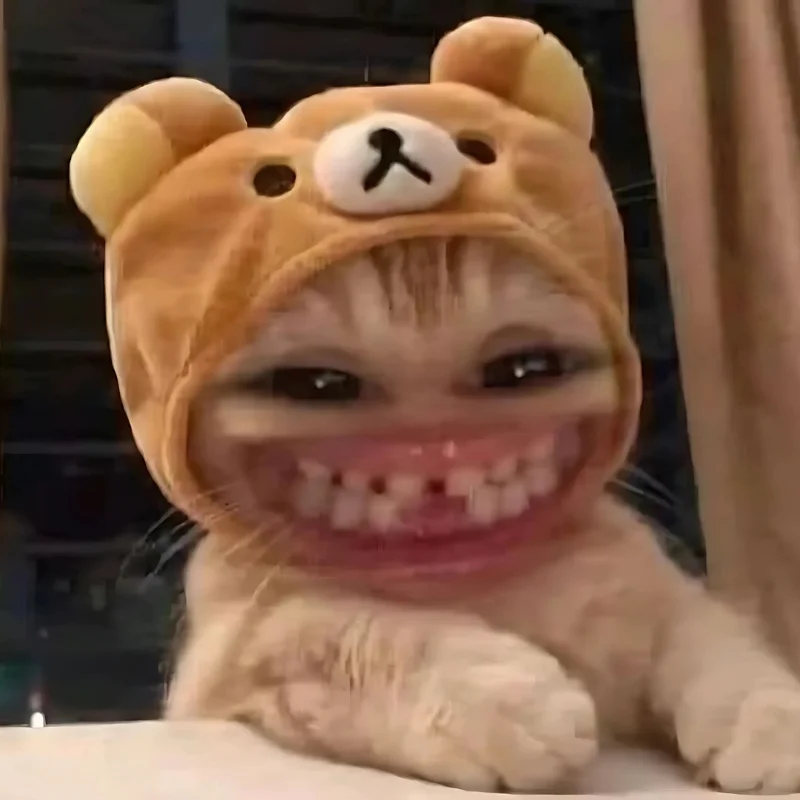 299+ Ảnh meme mèo HÀI HƯỚC, cực đáng yêu, cute, vui nhộn nhất