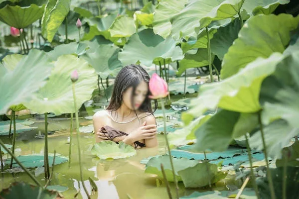 Cộng đồng mạng lên án thiếu nữ chụp ảnh khoả thân ở đầm sen